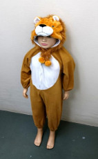 Lion Kids Costume
